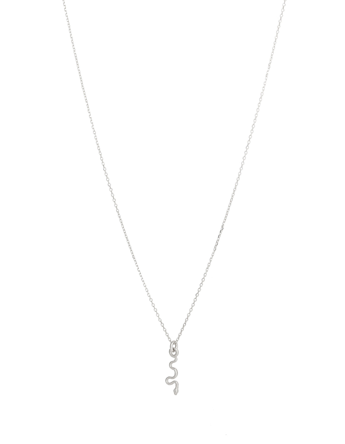 Itty Bitty Snake Necklace